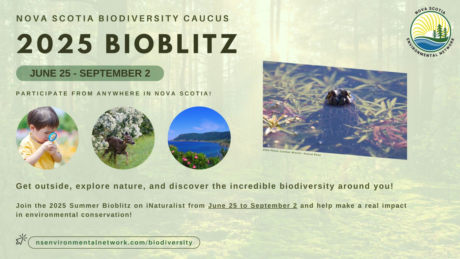 NSENBioBlitz2025.jpg
