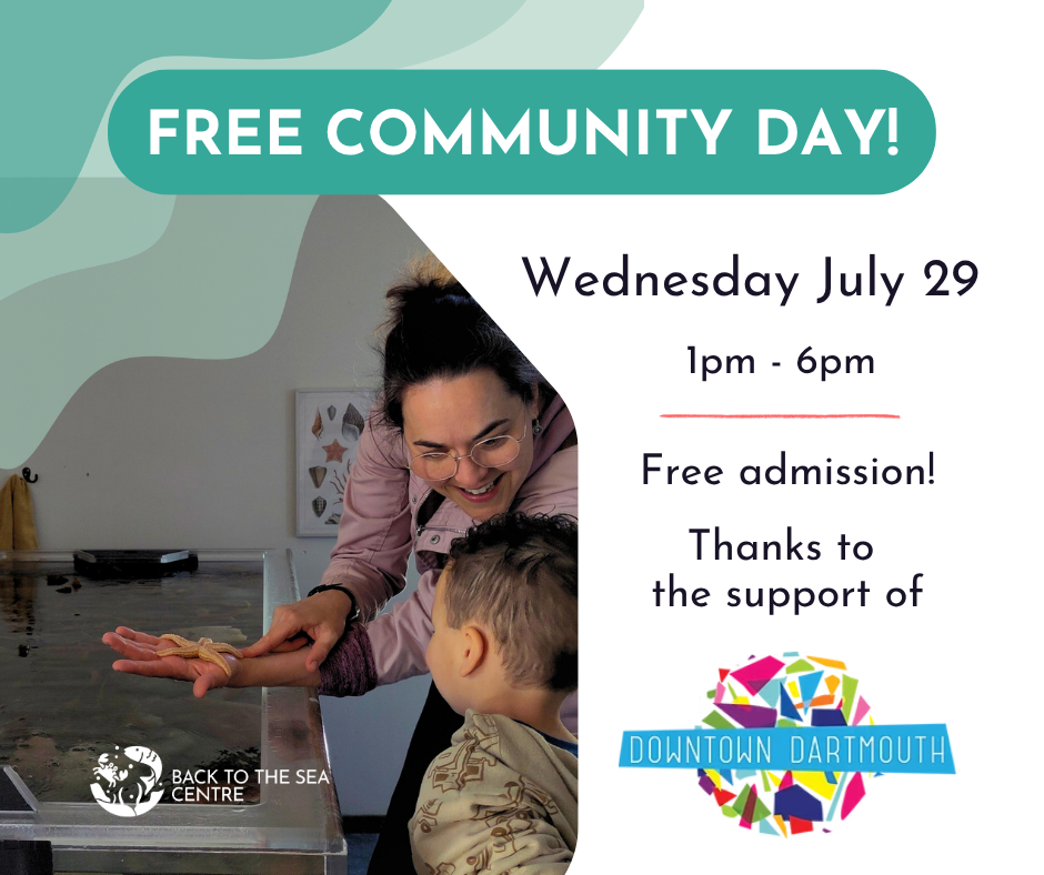 2026%20Free%20community%20Day%20July%2029%20social%20media%20(1).png