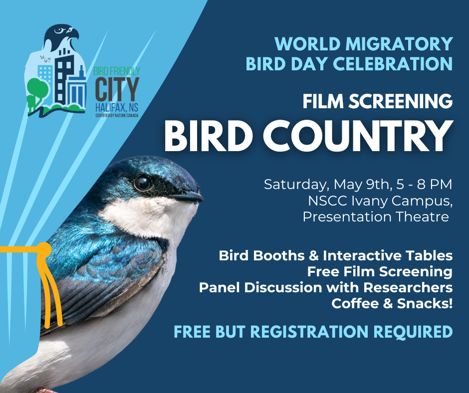 2026-may-9-film%20screening-world%20migratory%20bird%20day.png