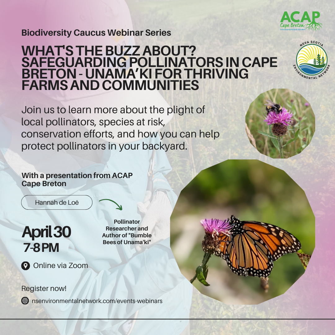 ACAP%20CB%20Webinar%20-%20Square%20(2).png