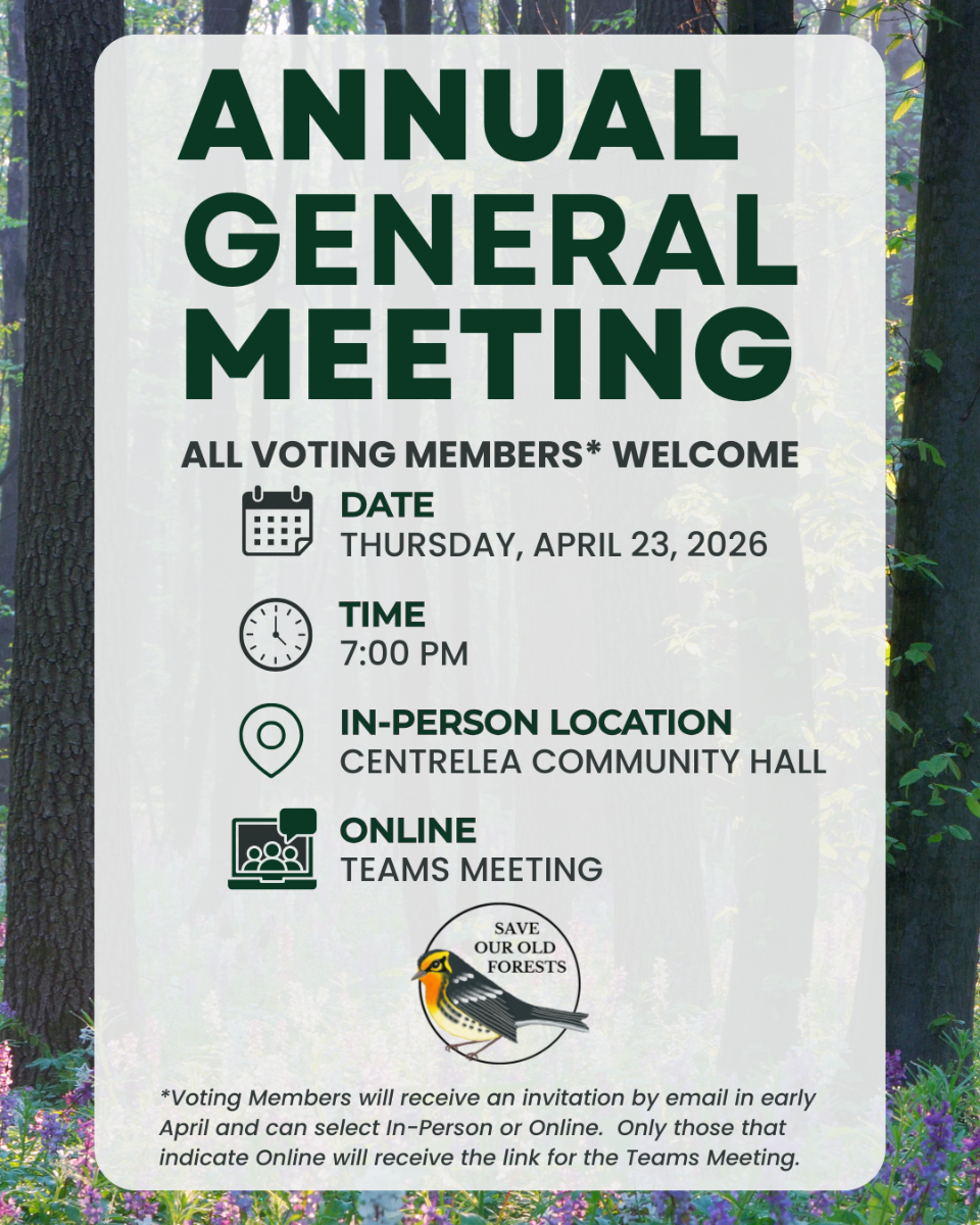 AGM%202026%20Poster%20(1)%20(2).png
