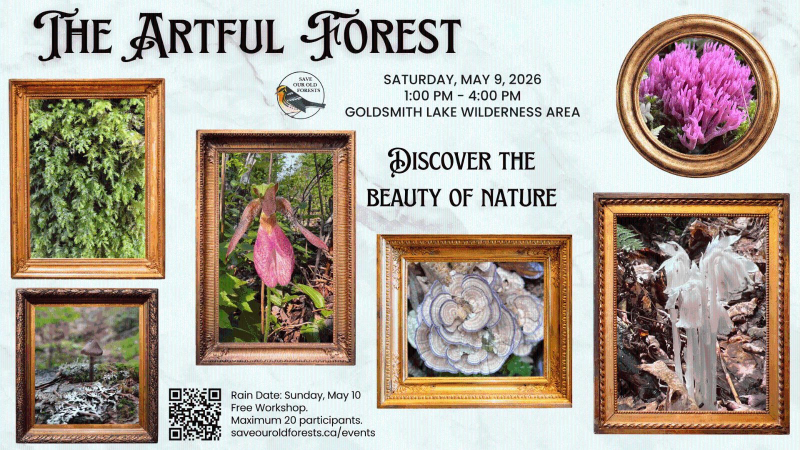 Artful%20Forest.png