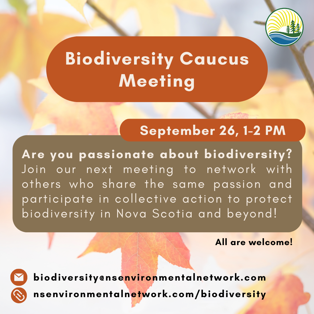 Biodiversity%20Caucus%20-%20September%20Meeting.png