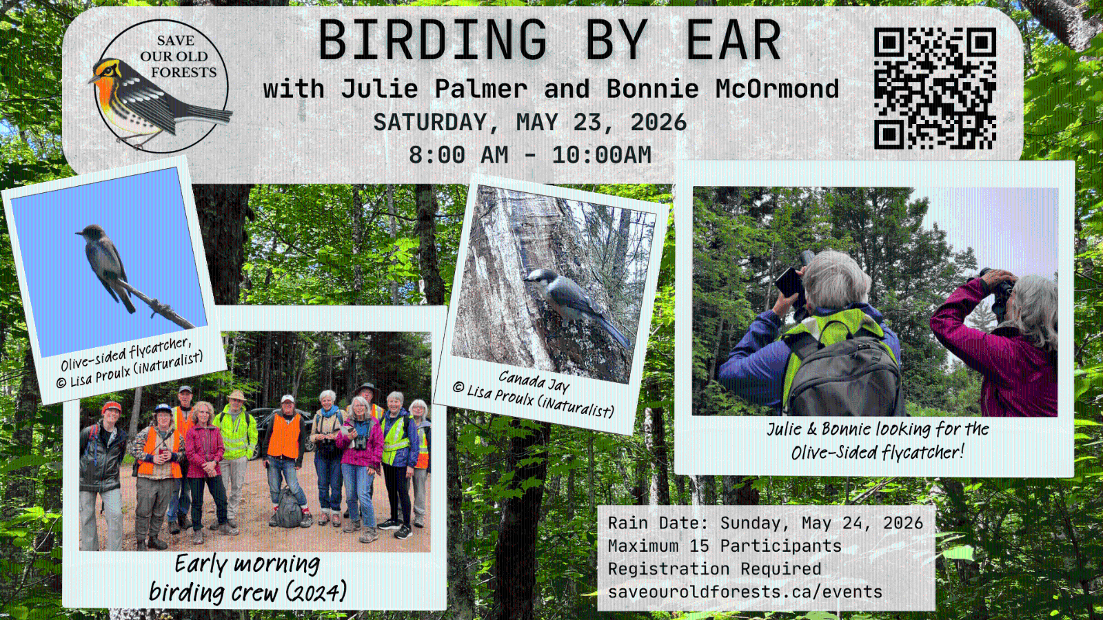 Birding%20by%20Ear.png