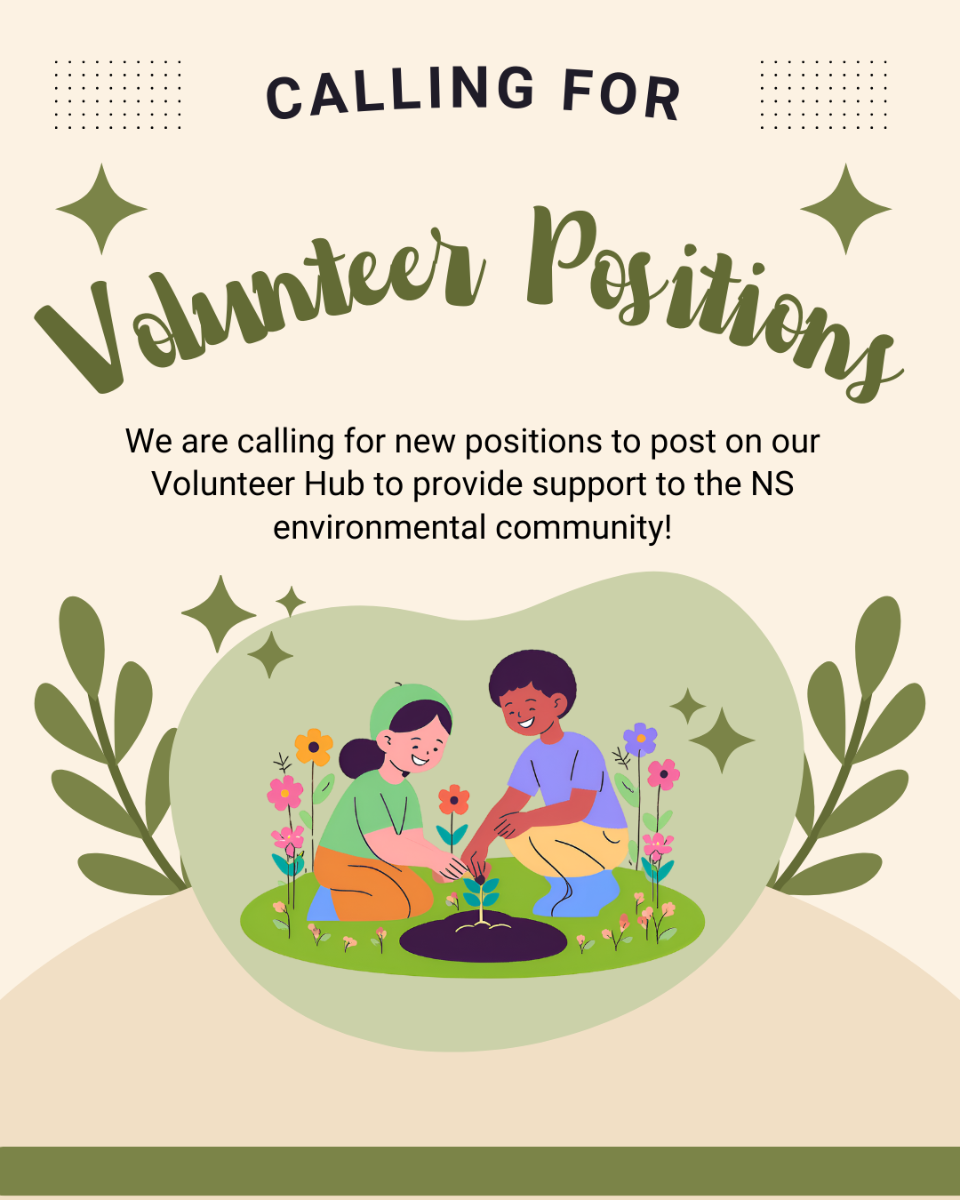 Calling%20For%20Volunteer%20Positions.png