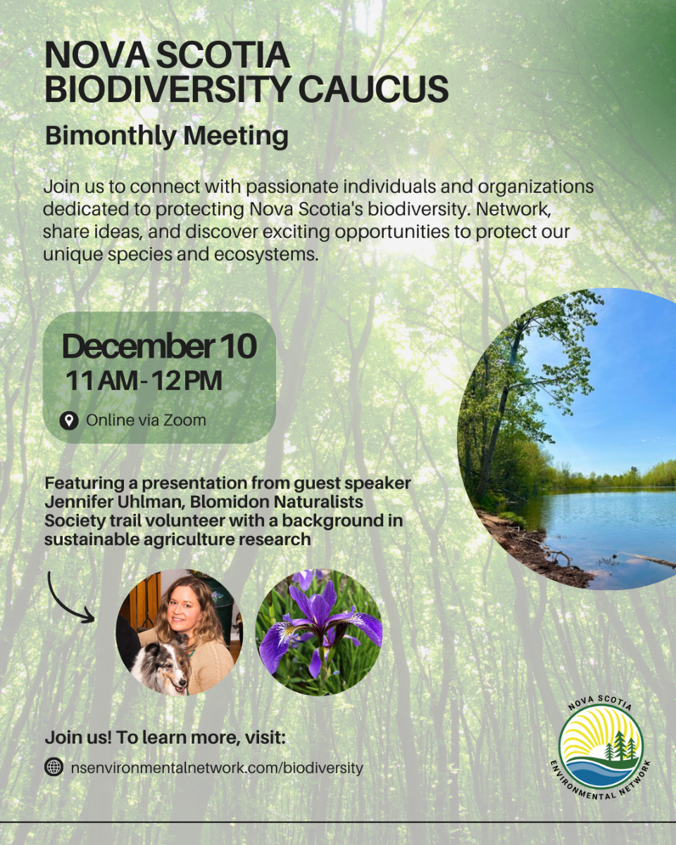 December%20Biodiversity%20Caucus%20Meeting%20-%20Poster.png