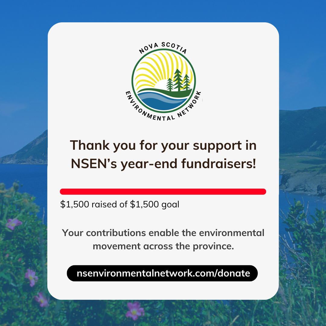 Donor%20Thank-You%20(1).png