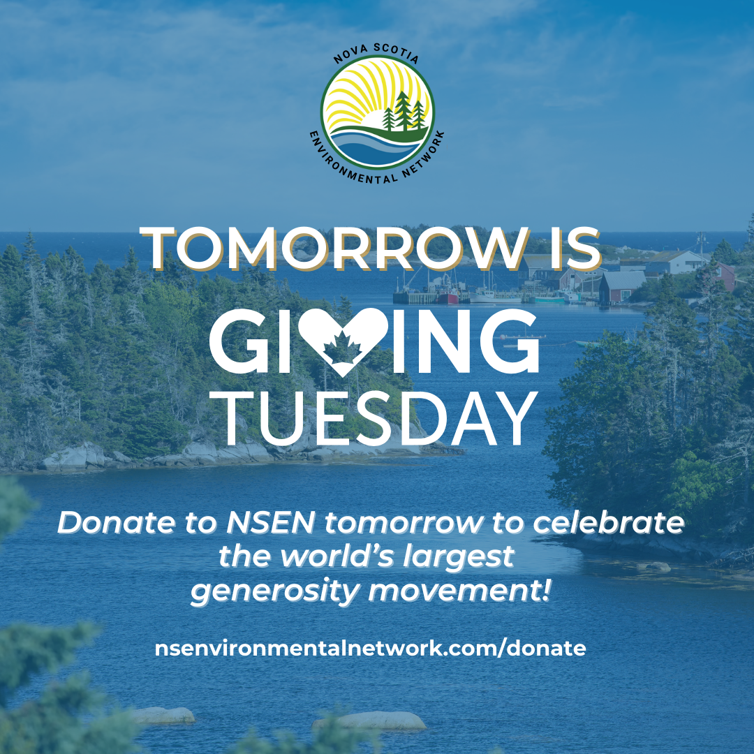 Giving%20Tuesday%202023%20-%20Tomorrow.png