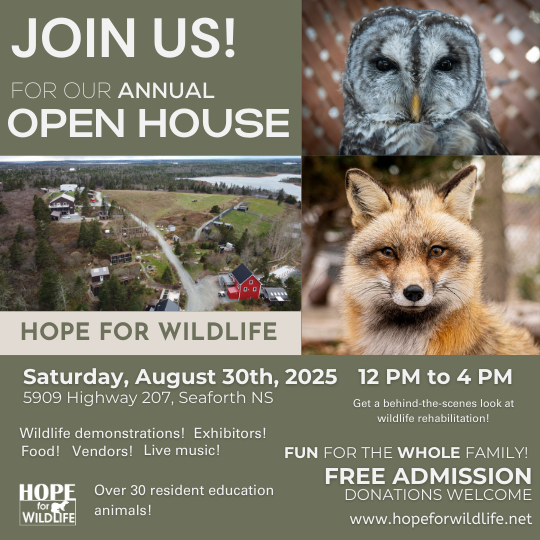 HFW%20Annual%20Open%20House%202025.png