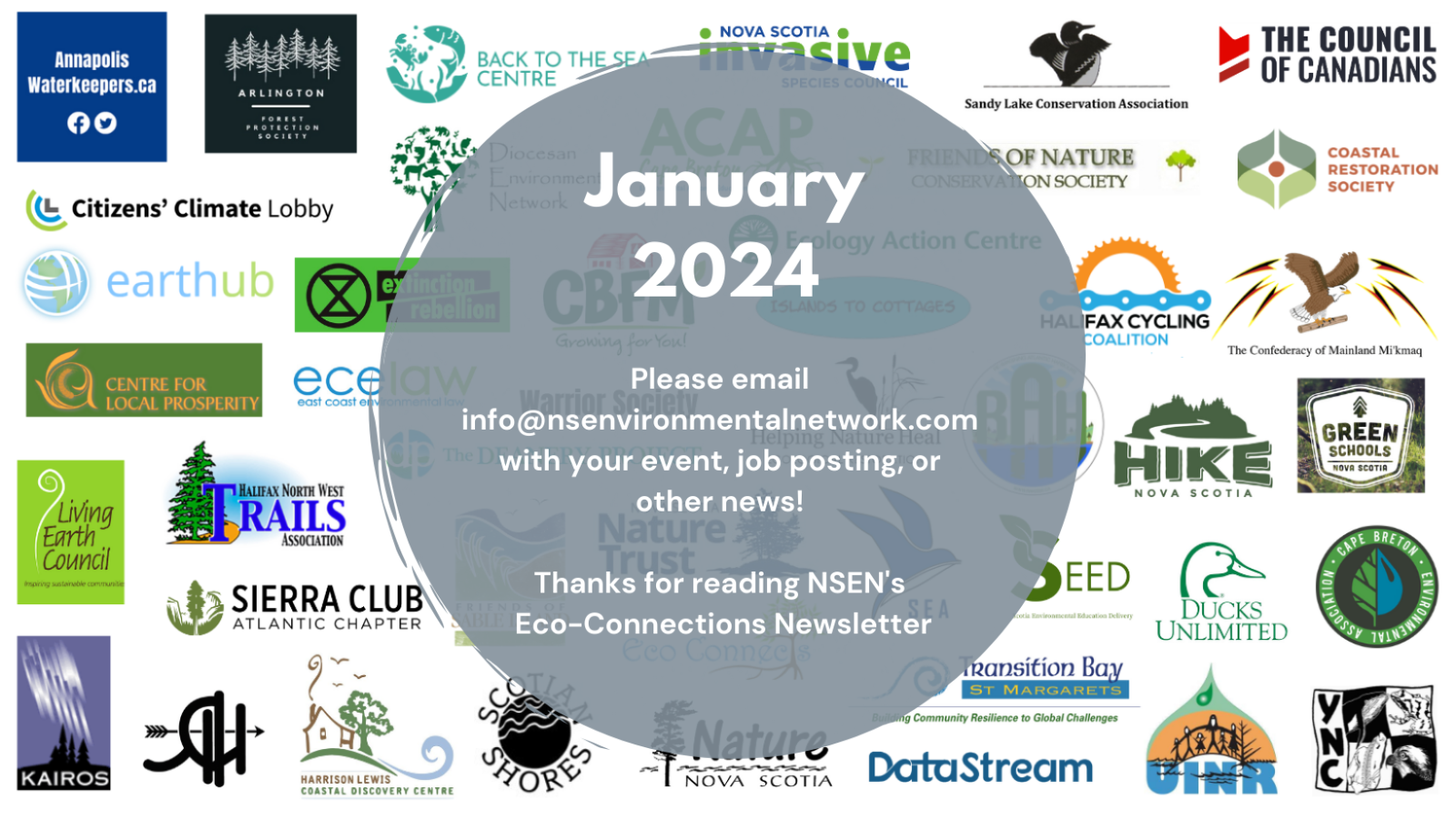 January%20Newsletter%20Banner.png