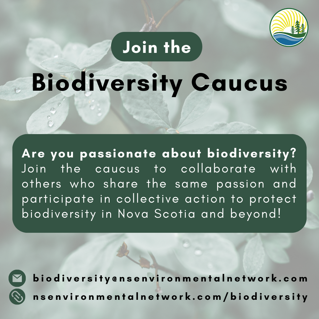 Join%20the%20BD%20Caucus.png
