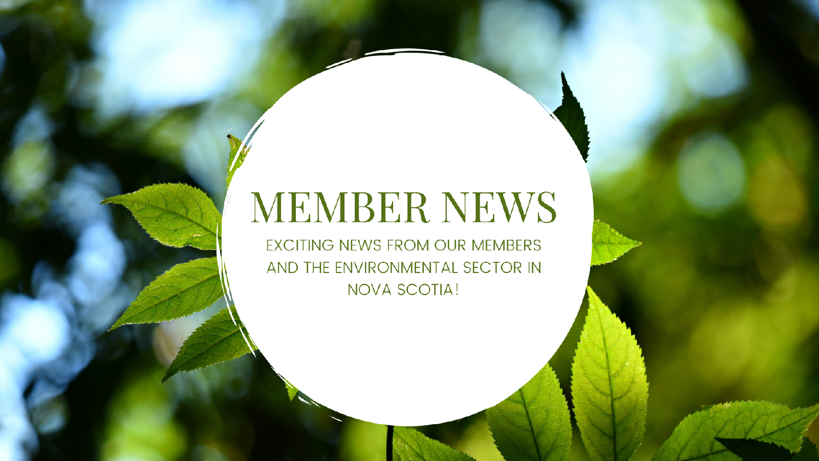 MEMBER%20NEWS.png