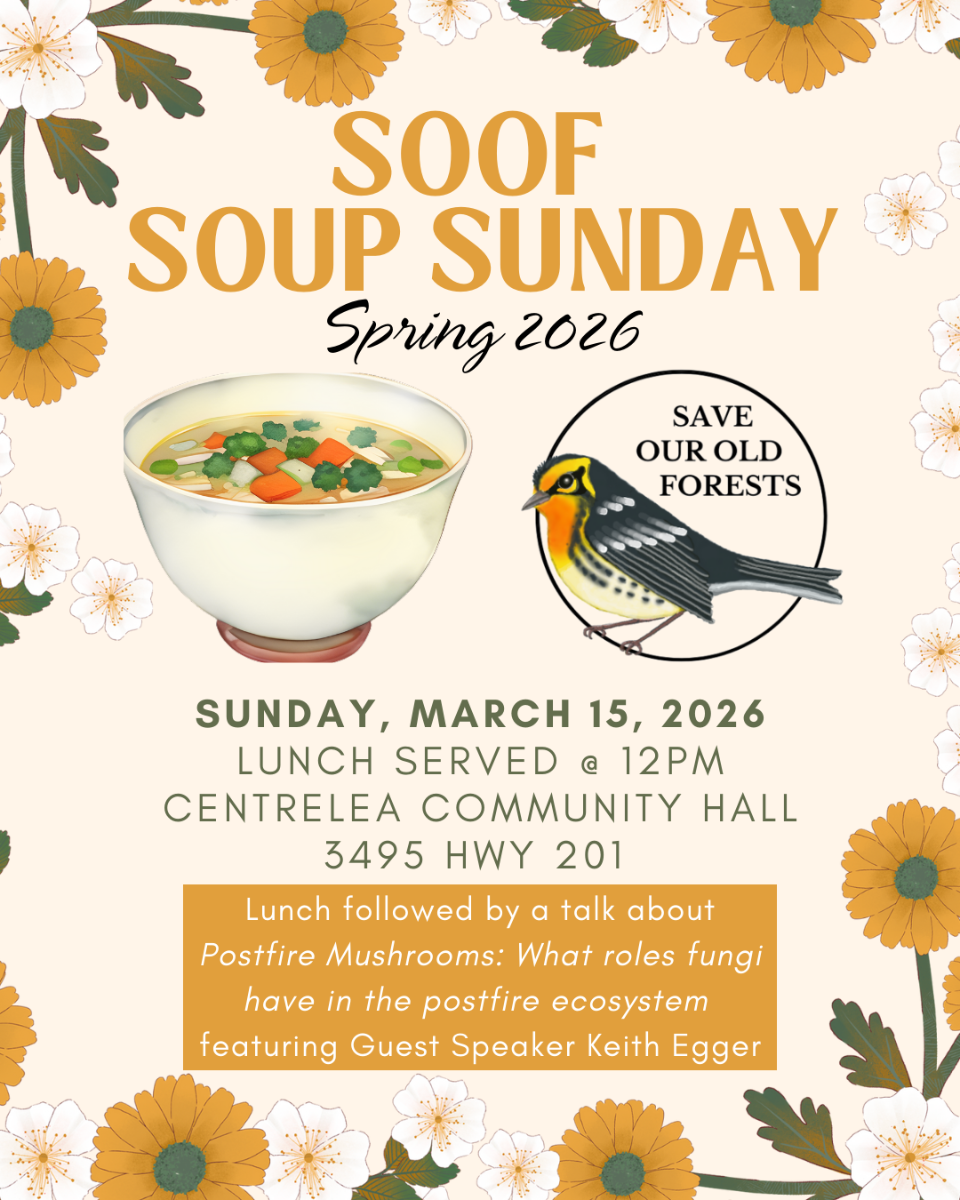 March%20Soup.png