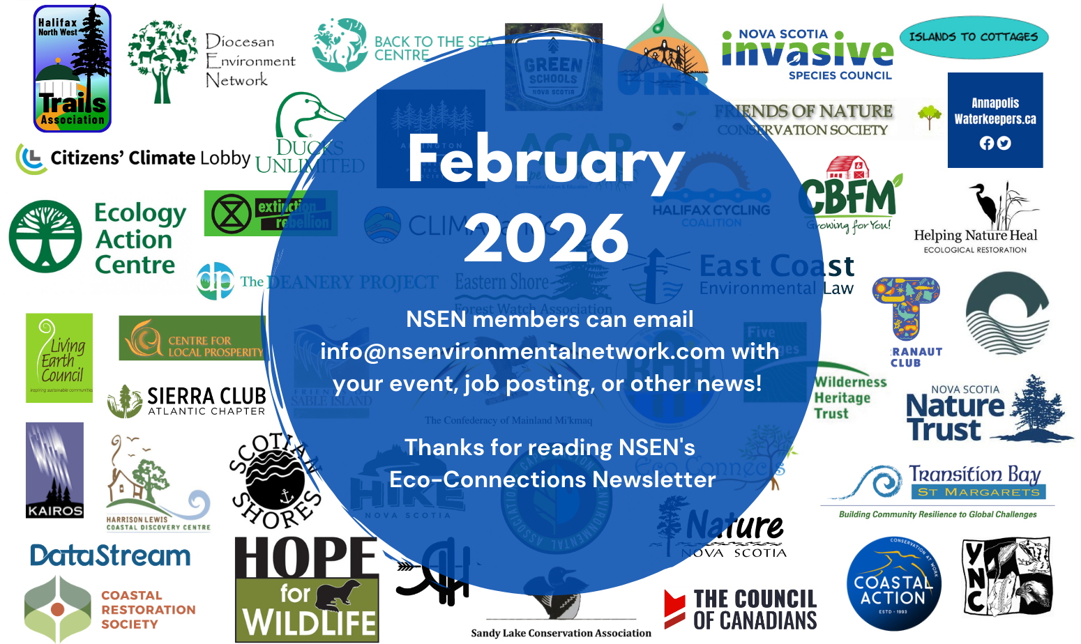 Monthly%20Newsletter%20Banner(2).png