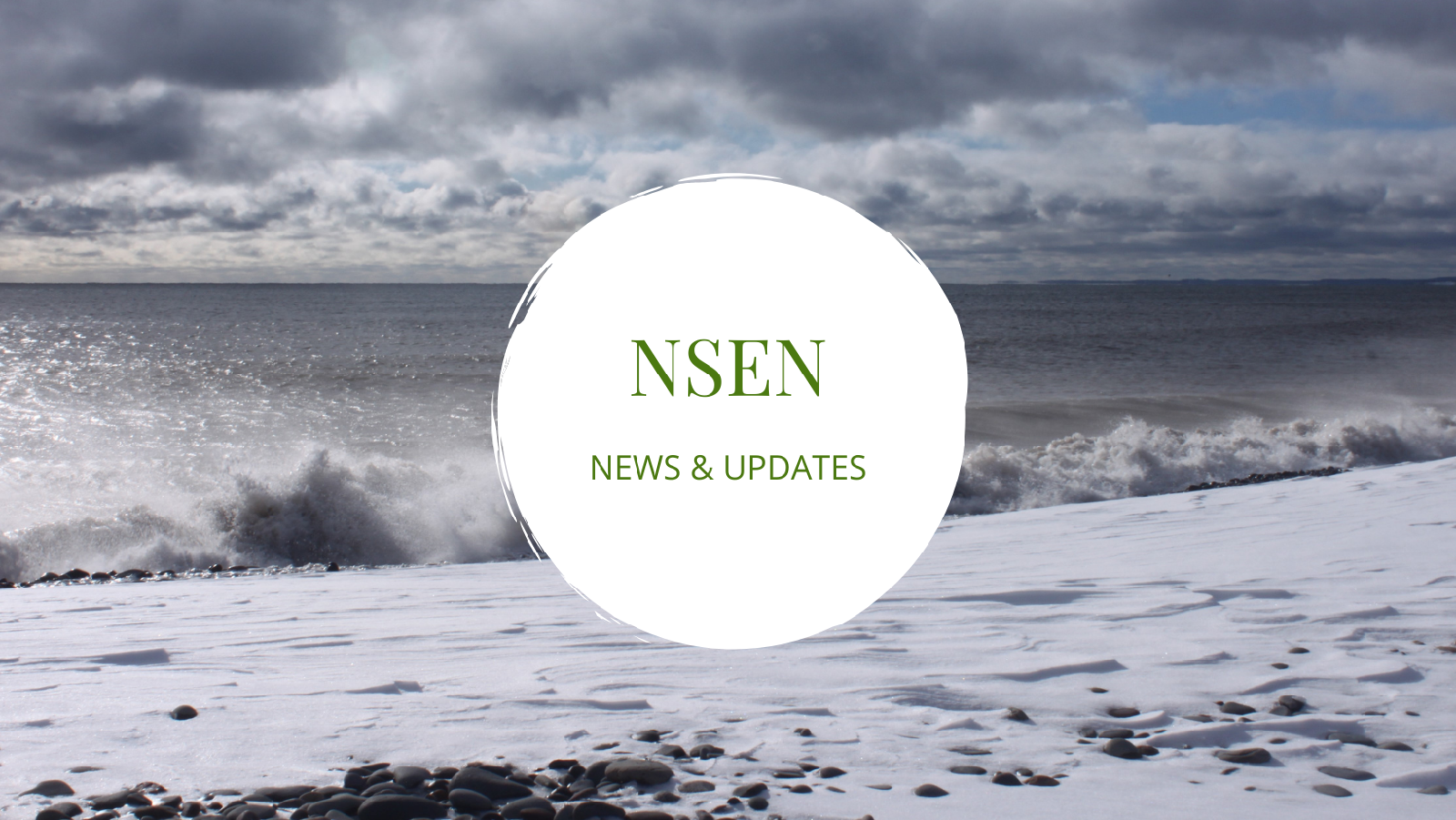 NSEN%20(3).png