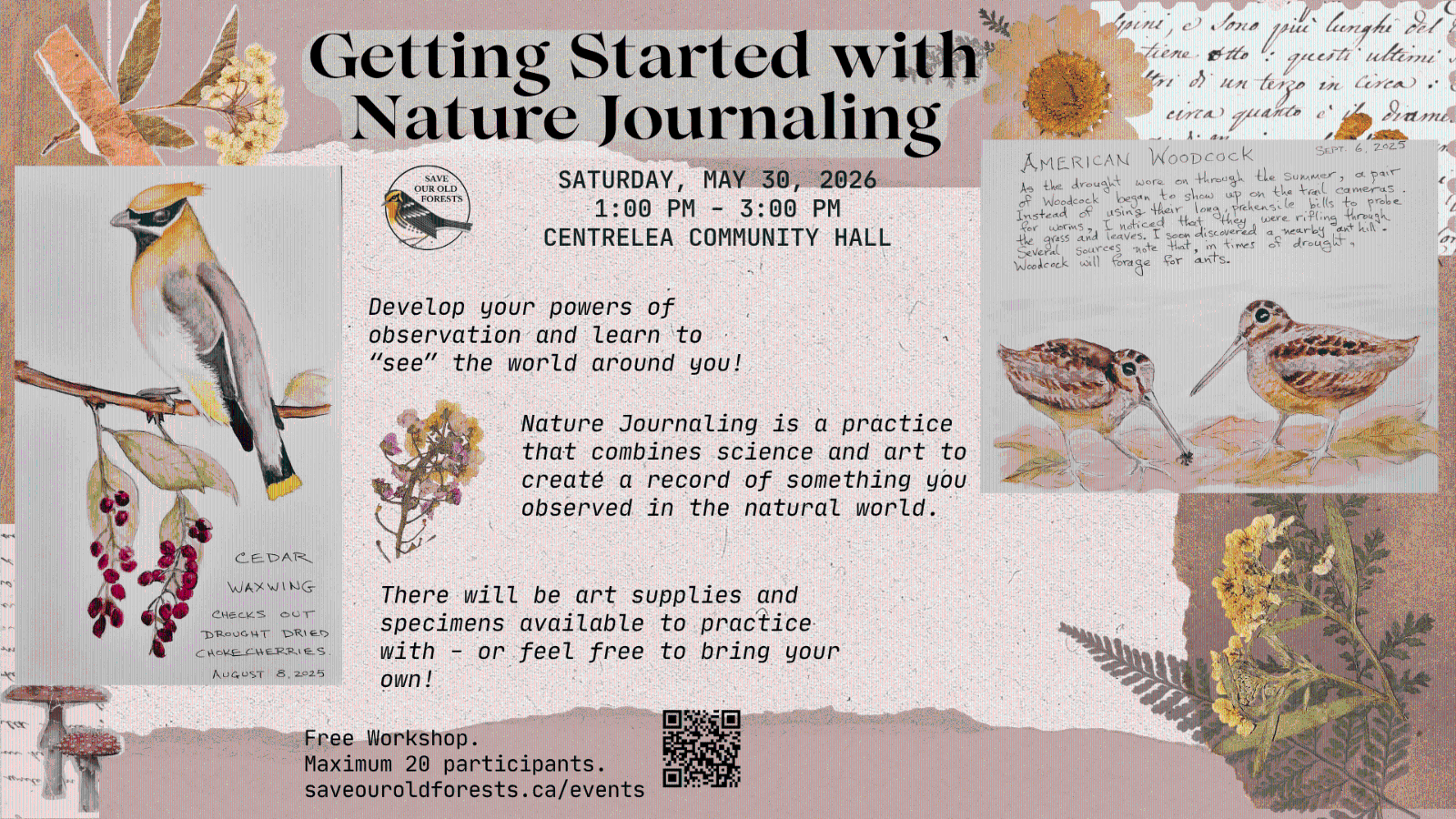Nature%20Journaling.png