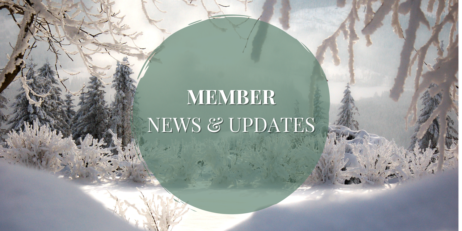 Newsletter%20(10).png