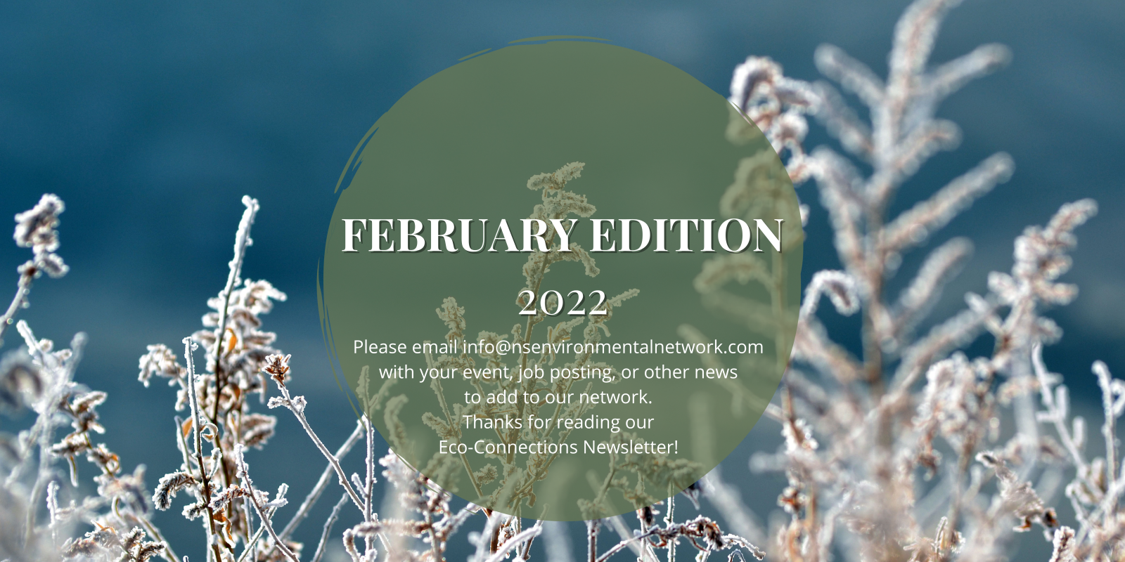 Newsletter%20(7).png