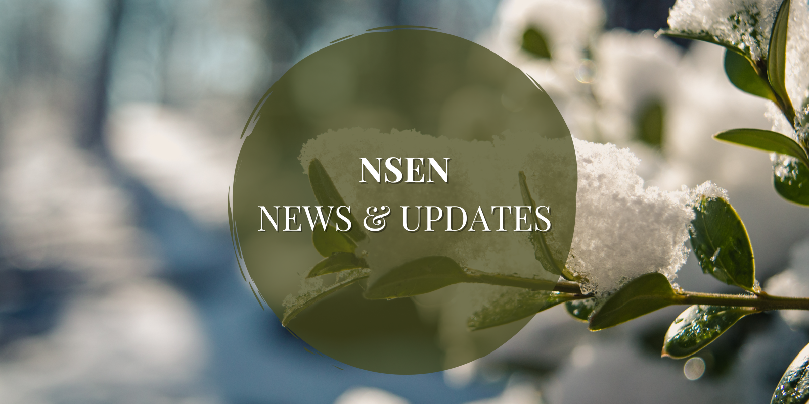 Newsletter%20(8).png