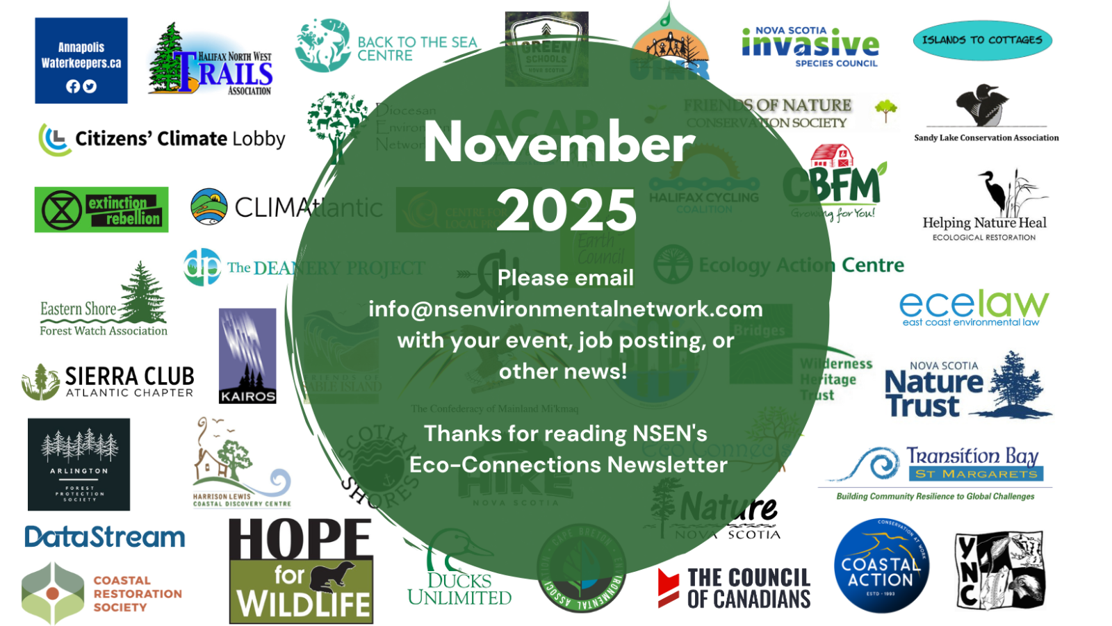 November%202025%20Newsletter%20Banner%20(1).png