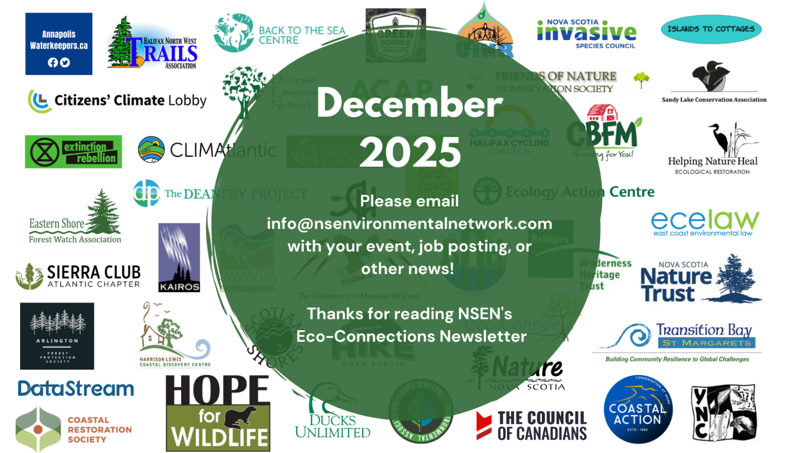 November%202025%20Newsletter%20Banner(1).png