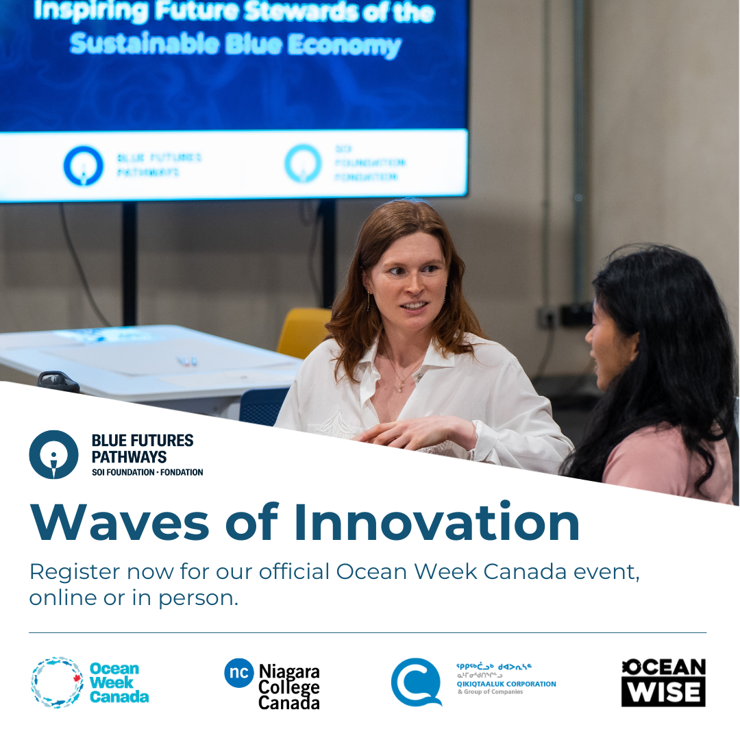 OWC%20-%20SOI%20Waves%20of%20Innovation.png