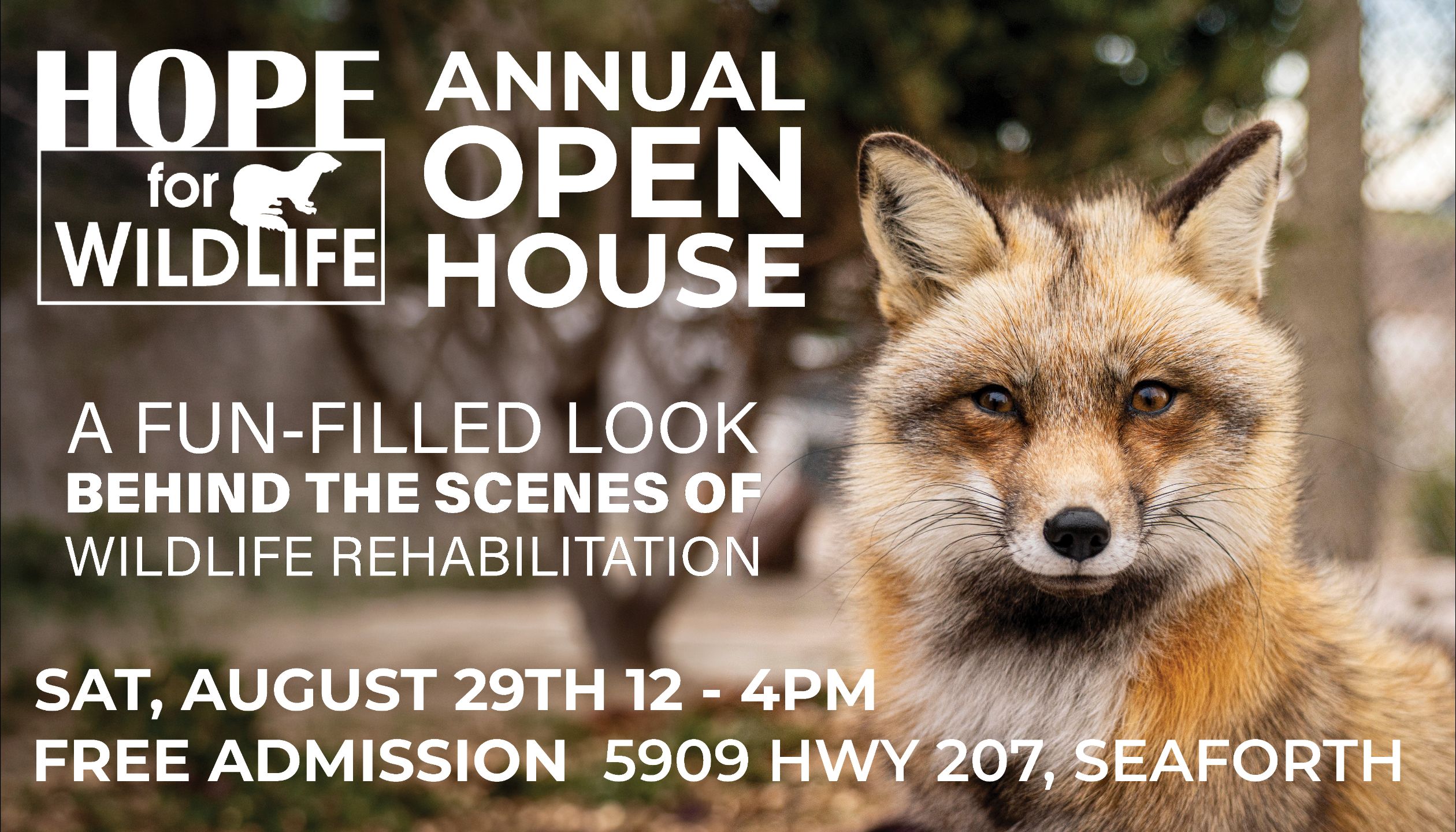Open%20House%20Advert%202026-Fox.jpg
