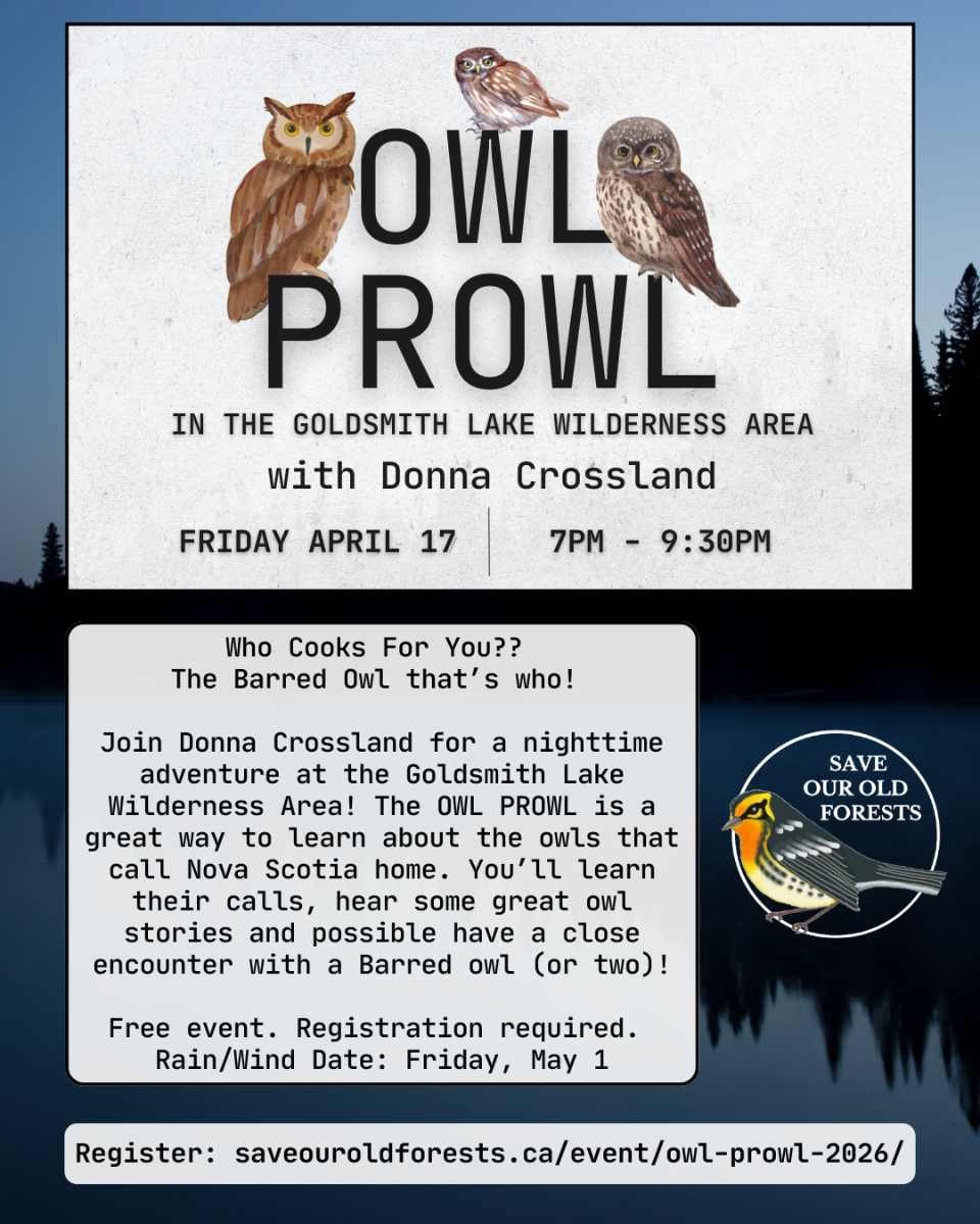 Owl%20Prowl%20(1).png