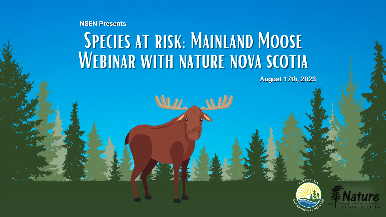 Species%20at%20risk%20Mainland%20Moose%20Webinar%20Event%20(1280%20%C3%97%20720%20px).png