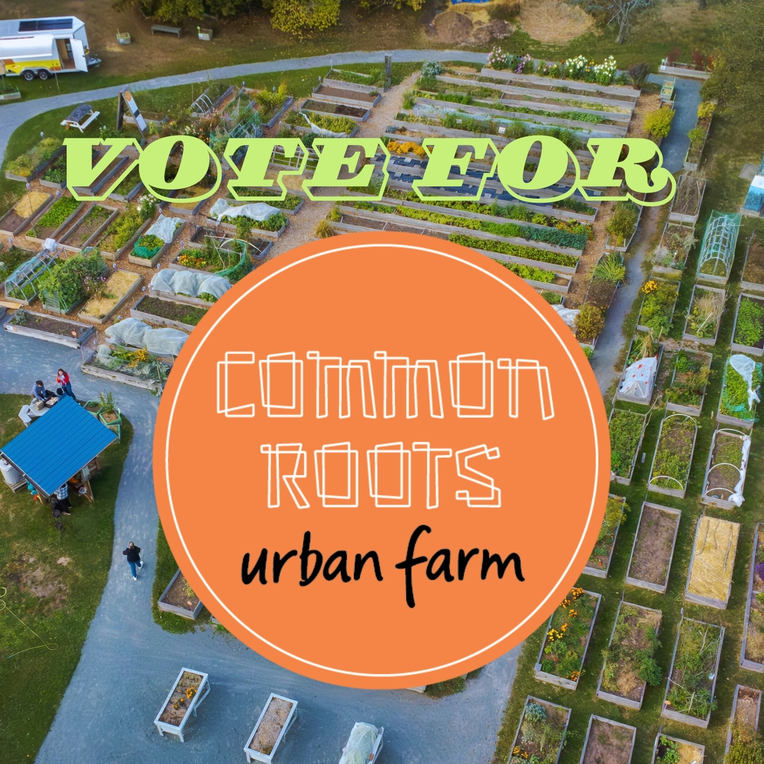 Vote%20for%20Common%20Roots.jpg