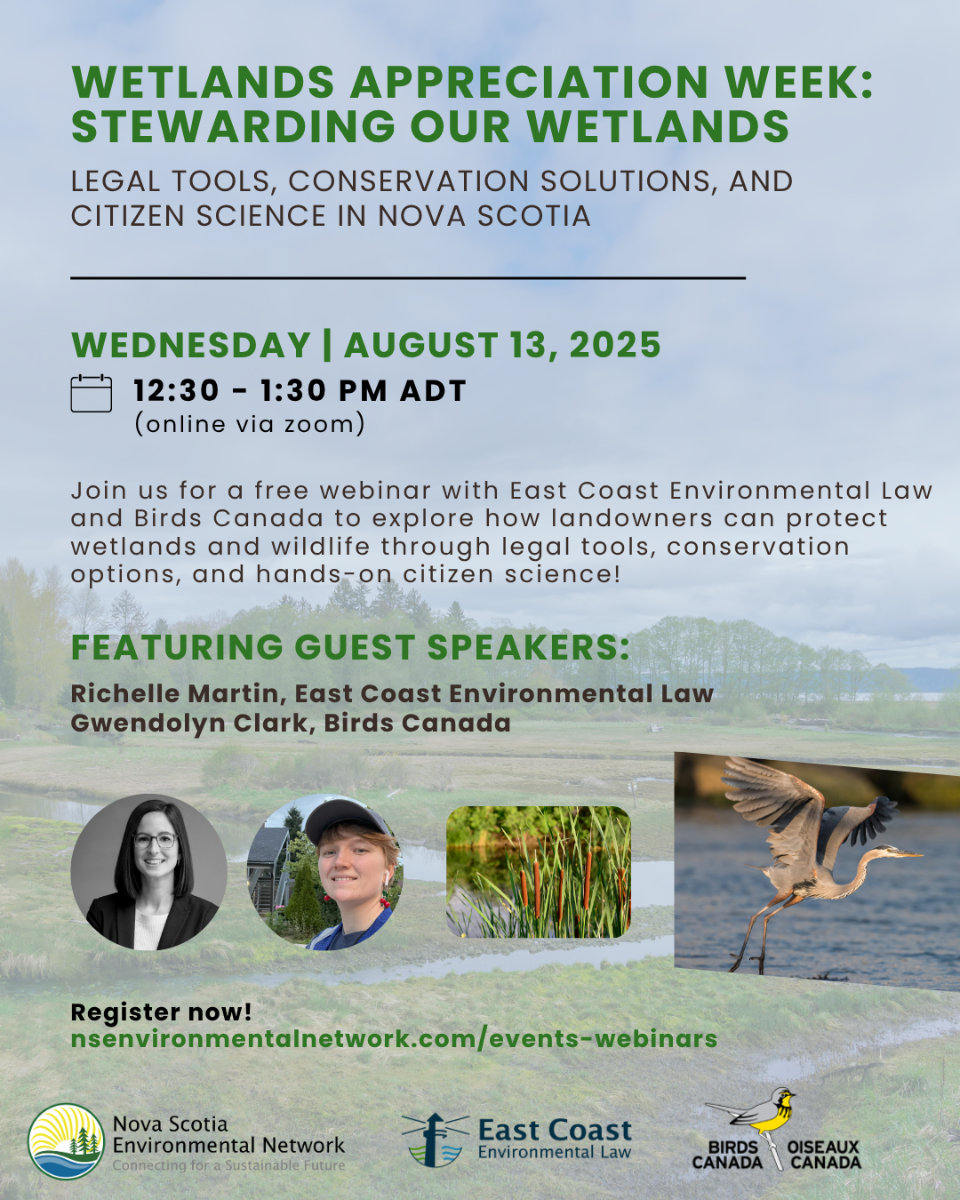WAW%202025%20Stewarding%20Our%20Wetlands%20(PosterIG)%20(2).png