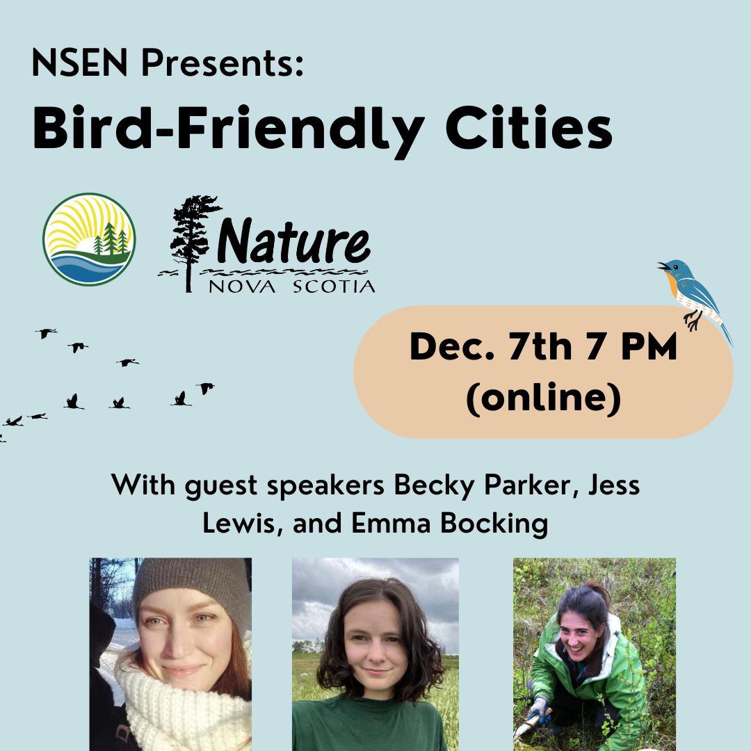Webinar%20Bird-Friendly%20Cities%20with%20Nature%20NS%20(square)%20(1).jpg