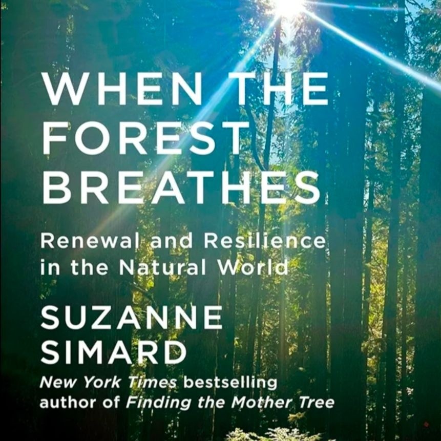 When%20the%20Forest%20Breathes.jpg