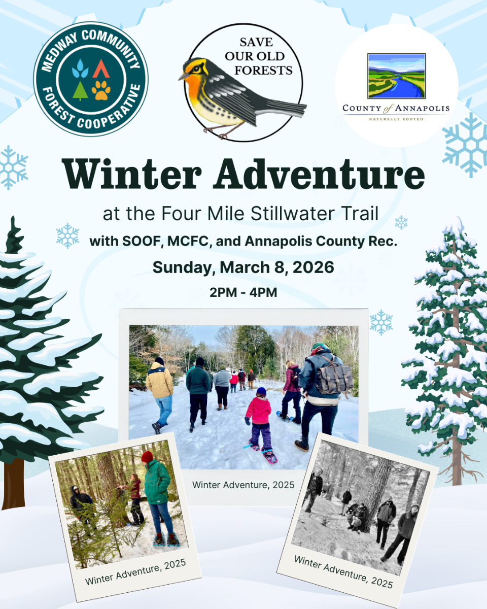 Winter%20Adventure%202026.png