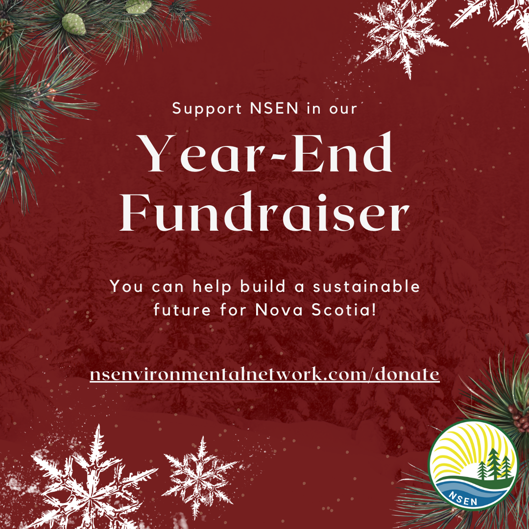 Year-End%20Fundraiser.png