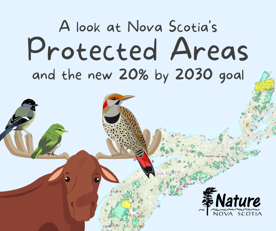 nature_NS.png