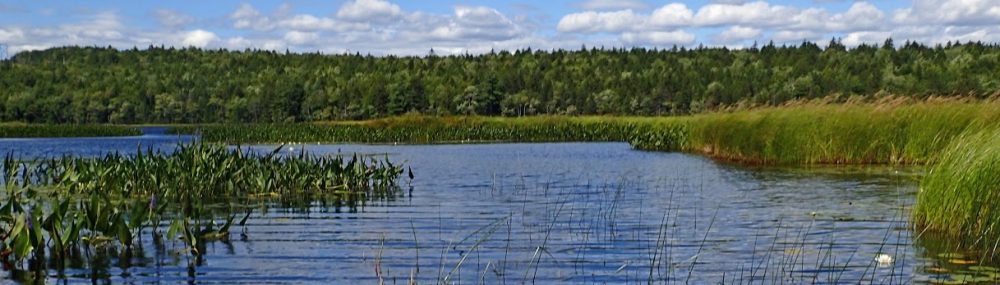 sandy%20lake.jpg