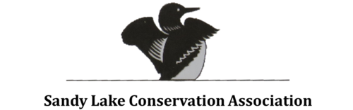 sandy-lake-conservation-association(1).png